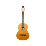 گیتار کلاسیک پارسی M3